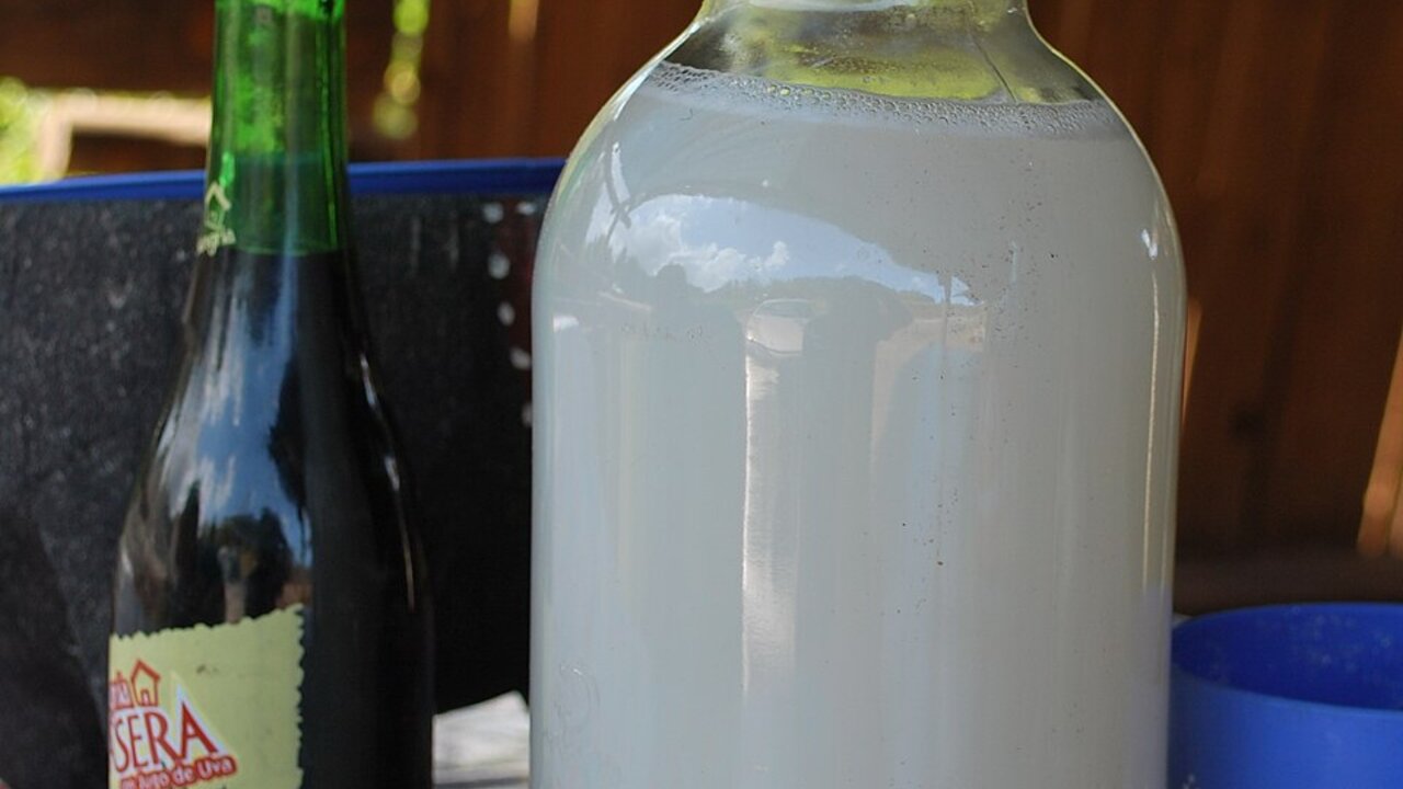 テキーラより古い酒「プルケ」とは？600年以上前からあるアガベの発酵酒｜意外と知らないテキーラの秘密 Part71