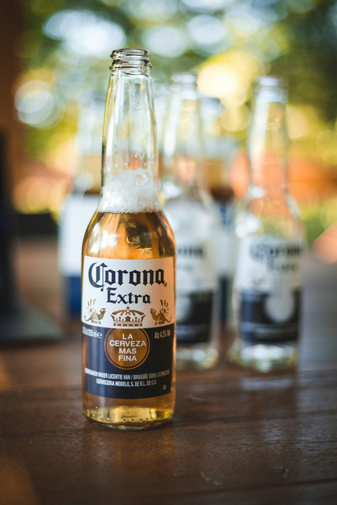 テキーラ　メキシコ　ビール　コロナビール